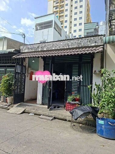 bán dãy trọ ngay chung cư Quân khu 7, Trung Mỹ Tâyq12