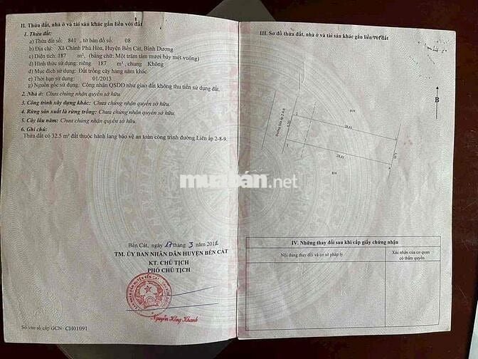 Bán đất mặt tiền nhựa 7m thông sau chợ Chánh Lưu sát trường học 6,5x29
