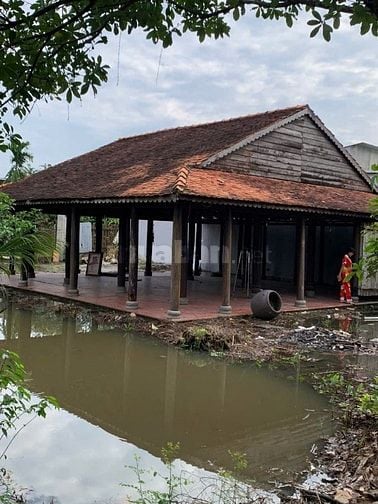 Cần thanh lý bán gấp Nhà gỗ ngang 12m x dài 12m, xã Binh Mỹ, Củ Chi