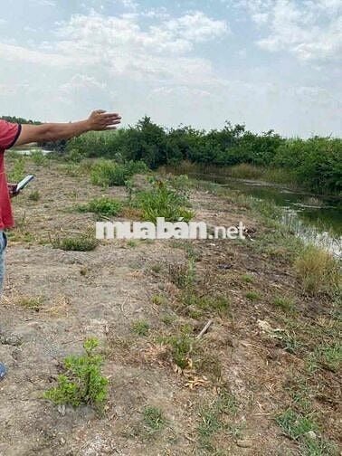 Bán ĐẠI PHƯỚC _ PHƯỚC KHÁNH NHÂN TRẠCH 1.9x /1000m2giá tốt mua là lời