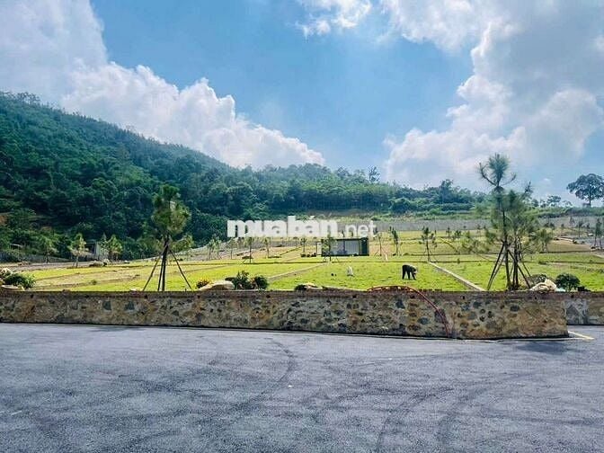 🔥 ĐẤT PHÚ MÃN 100M² – GIÁ 2 TỶ 150 TRIỆU | KẾT NỐI CAO TỐC THUẬN TIỆN