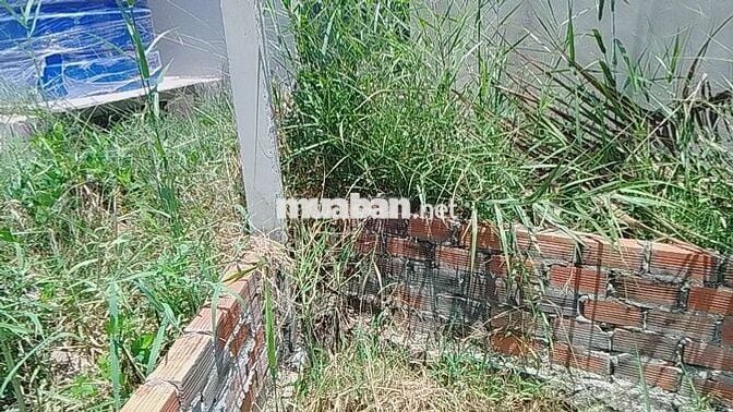 BÁN ĐẤT ĐỐI DIỆN CỤM CÔNG NGHIỆP PHONG NẪM – Thiện Chí Chốt Ngay
