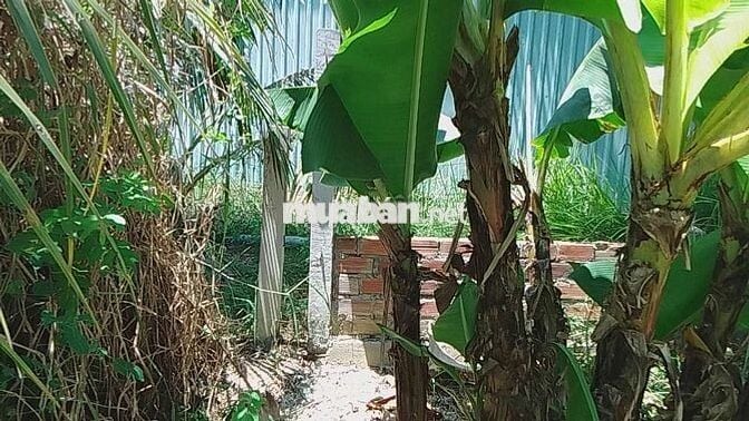 BÁN ĐẤT ĐỐI DIỆN CỤM CÔNG NGHIỆP PHONG NẪM – Thiện Chí Chốt Ngay
