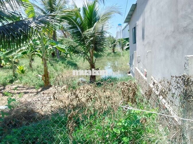 BÁN ĐẤT ĐỐI DIỆN CỤM CÔNG NGHIỆP PHONG NẪM – Thiện Chí Chốt Ngay