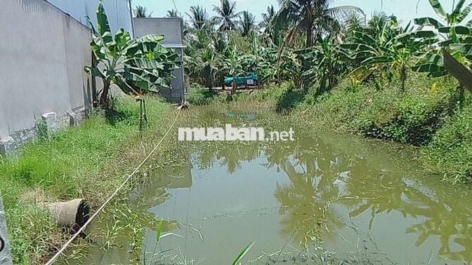 BÁN ĐẤT ĐỐI DIỆN CỤM CÔNG NGHIỆP PHONG NẪM – Thiện Chí Chốt Ngay