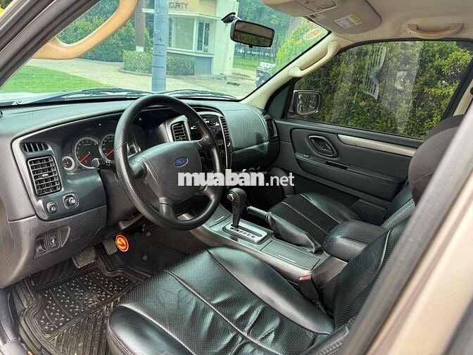 Ford Escape XLS 1 cầu 2009 Vàng cát