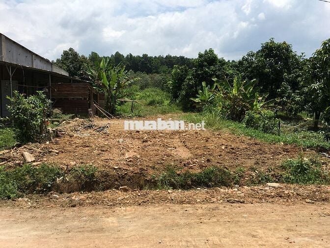 Bán đất mặt tiền tại ĐT 761 (đoạn 322A), Xã Phú Lý, Đồng Nai