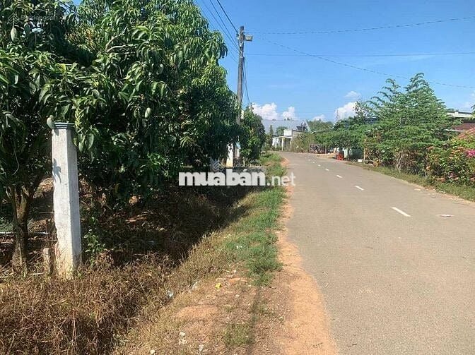 Bán đất mặt tiền tại ĐT 761 (đoạn 322A), Xã Phú Lý, Đồng Nai