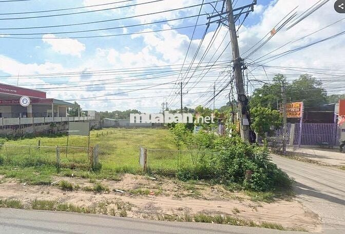 ĐẤT 500M² – NGANG 10M – AN ĐIỀN – BẾN CÁT – BÌNH DƯƠNG – GIÁ  2.49 TỶ