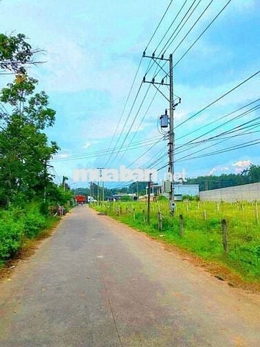 ĐẤT 500M² – NGANG 10M – AN ĐIỀN – BẾN CÁT – BÌNH DƯƠNG – GIÁ  2.49 TỶ
