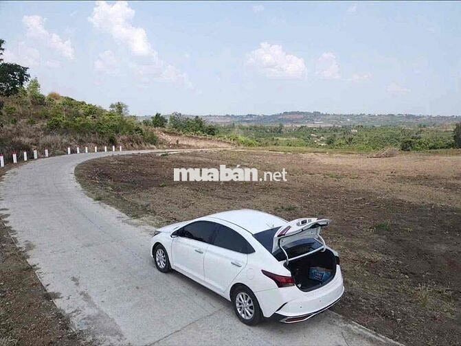 ngộp nặng cấn bán gấp. 10x100 giá chưa tới 200tr đắk mil lâm đồng