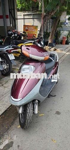 Spacy HQCN biển sg bao ký