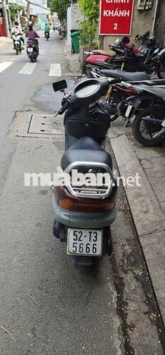 Spacy HQCN biển sg bao ký