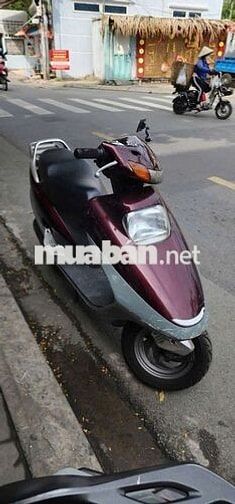 Spacy HQCN biển sg bao ký