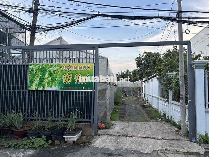 Bán Lô Đất View Sông có Vườn nho Mẫu Đơn 3 năm tuổi, Phường Thủ Đức 12