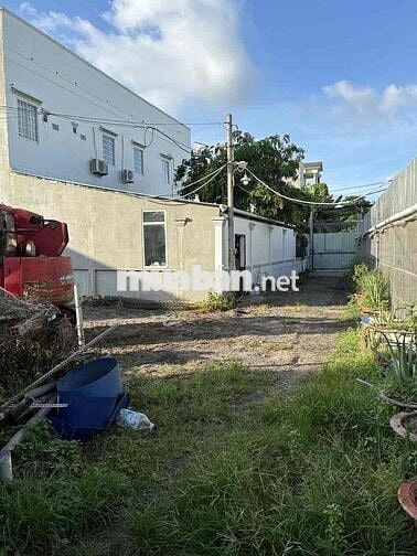 Bán Lô Đất View Sông có Vườn nho Mẫu Đơn 3 năm tuổi, Phường Thủ Đức 12