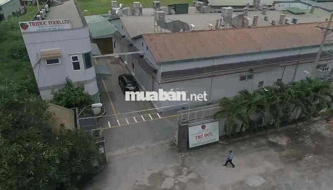 TUYỂN NV THỜI VỤ TẠI CỦ CHI