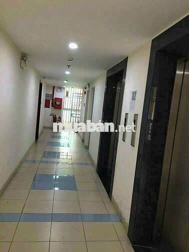 Hót Căn hộ CC Đông Hải 54m2 2PN / 2Wc SHR 
