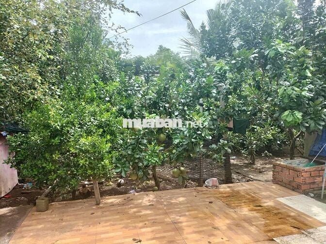 Nhà vườn nguyên căn, tổng diện tích 400m2, diện tích nhà 150m2