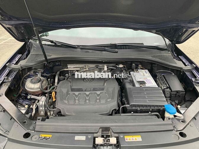 Volkswagen Tiguan FL 2021 xanh