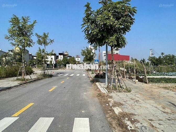 Chuyển nhượng lô đất giãn dân Dự Án Cầu Tứ Liên