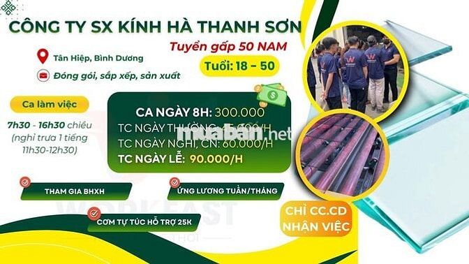 Tuyển Việc làm khu vực bình dương