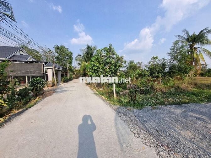 438m2 có 100m2 thổ cư. 8m ngang đường nhựa. Gần KCN. 5xx tr 