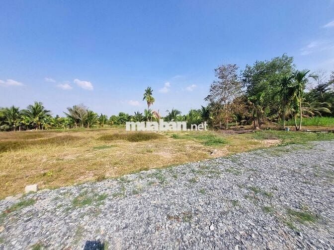 438m2 có 100m2 thổ cư. 8m ngang đường nhựa. Gần KCN. 5xx tr 