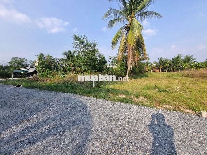 438m2 có 100m2 thổ cư. 8m ngang đường nhựa. Gần KCN. 5xx tr 