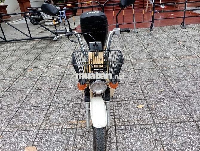 Honda Chaly 1980 Vàng 84cc