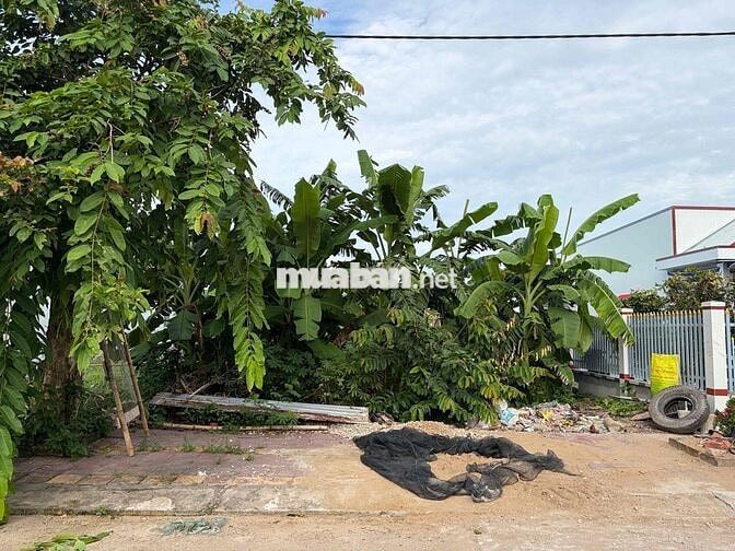 bán đất thổ cư trong khu tái định cư xã long đức huyện long phú