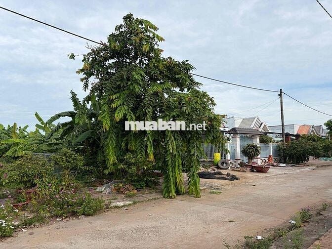 bán đất thổ cư trong khu tái định cư xã long đức huyện long phú