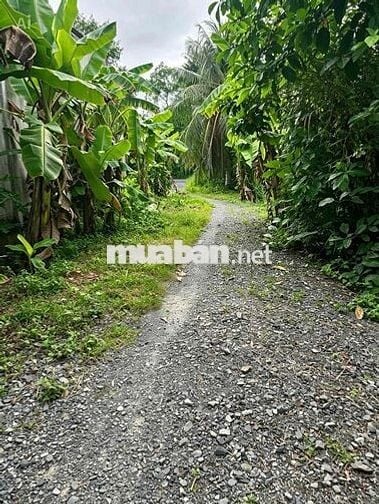 ông anh cần tiền mua oto nên bán lại lô đất nền khu dân cư tân hội