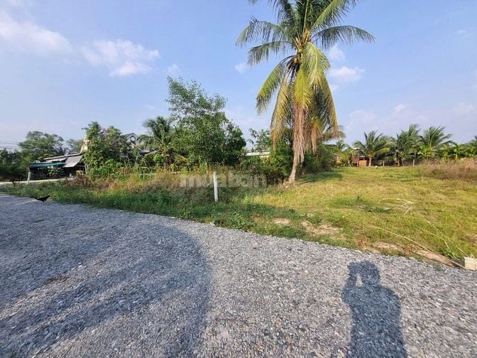 Đất thổ cư gần KCN. ĐƯờng thông, chủ ngộp cắt lỗ 100tr. Giá 399tr 