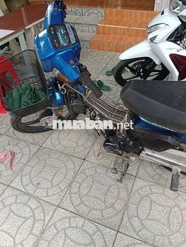 Honda Dream II Xanh