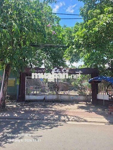 👉Cho thuê Mặt bằng Mặt tiền DT 800m.kinh doanh