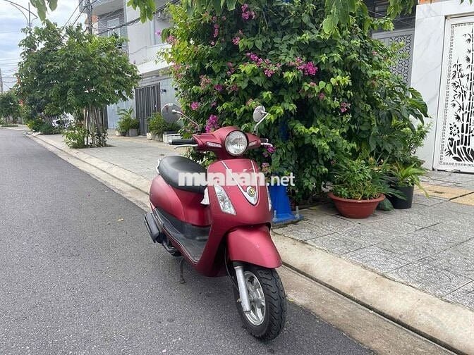 Atila Alizabeth Đỏ máy êm bao đi