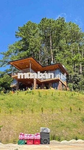 CHO THUÊ VILLA GỖ VIEW 360 độ SIÊU ĐẸP -P3 DALAT -DIỆN TICH : 1000m2