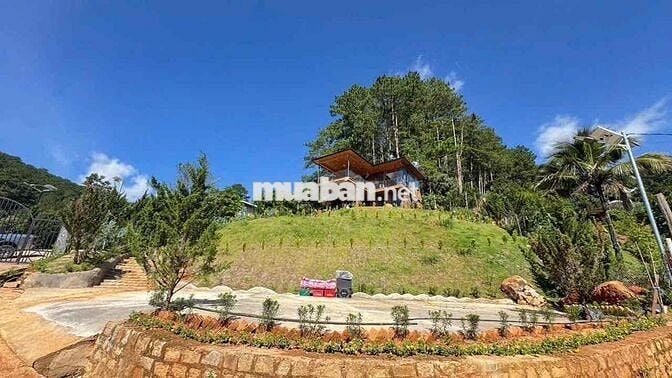 CHO THUÊ VILLA GỖ VIEW 360 độ SIÊU ĐẸP -P3 DALAT -DIỆN TICH : 1000m2