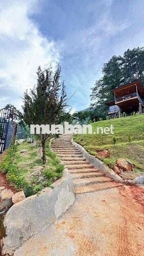 CHO THUÊ VILLA GỖ VIEW 360 độ SIÊU ĐẸP -P3 DALAT -DIỆN TICH : 1000m2