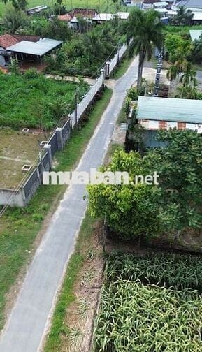 🔥 430 TRIỆU / 100m² – FULL THỔ CƯ – tại Trảng Bàng 🔥  