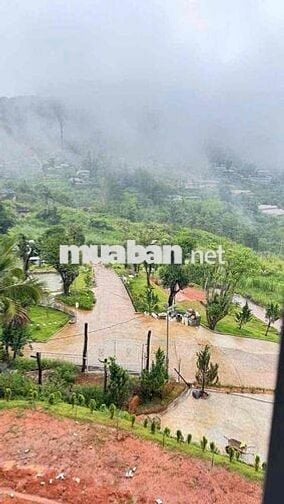 CHO THUÊ VILLA GỖ VIEW 360 độ SIÊU ĐẸP -P3 DALAT -DIỆN TICH : 1000m2
