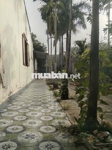 Nhà rộng mặt tiền lớn kinh doanh cần bán gấp đổi chổ ở