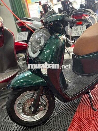 💥Scoopy ĐKLĐ T4/2026 BSTP Siêu lướt 1900KM💥