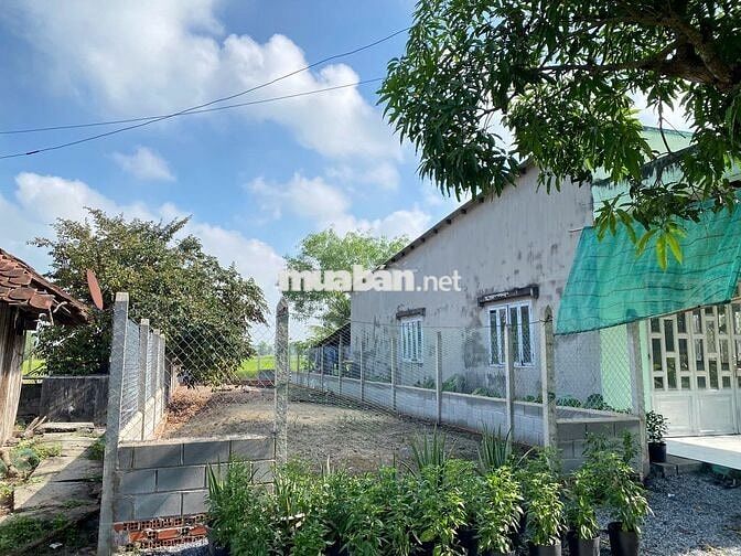 🔥 ĐẤT 185m² | 6x31 | - GIÁ 890 TRIỆU TÂN AN HỘI – CỦ CHI 🔥