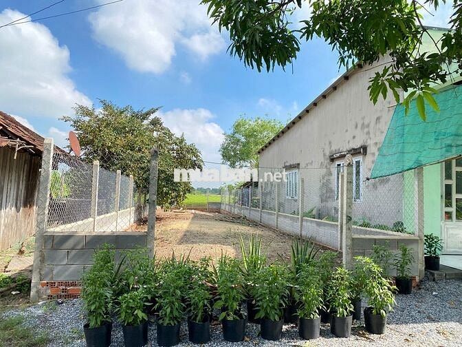🔥 ĐẤT 185m² | 6x31 | - GIÁ 890 TRIỆU TÂN AN HỘI – CỦ CHI 🔥