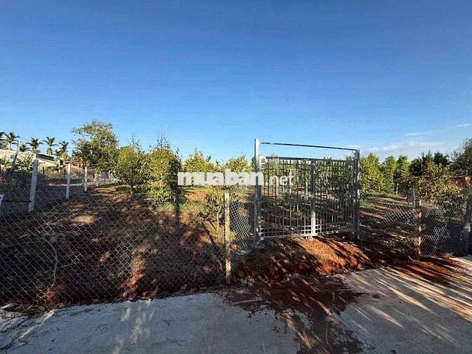 🏡 CHÍNH CHỦ BÁN ĐẤT THỔ CƯ 500m² – EA KAO, TP. BUÔN MA THUỘT, ĐĂK LĂK