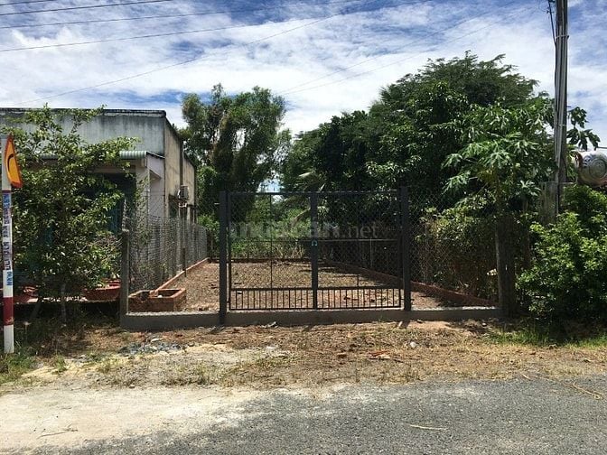 🌳 CHÍNH CHỦ CẦN BÁN ĐẤT – GIÁ TỐT