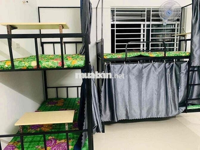 cho thuê phòng tầng trệt và ký túc xá giường tầng