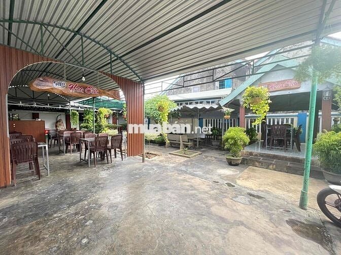 CHÍNH CHỦ CẦN BÁN ĐẤT PHỤNG TƯỜNG - HOÀ TRỊ - PHÚ HOÀ - PHÚ YÊN